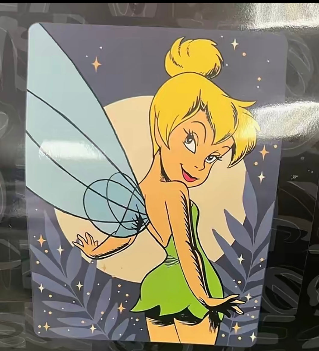 Tinker bell Twin/Full blanket
