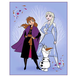 Frozen toddler blanket