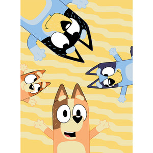 Bluey Twin/Full Blanket